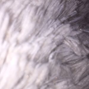 You can offer on anything!